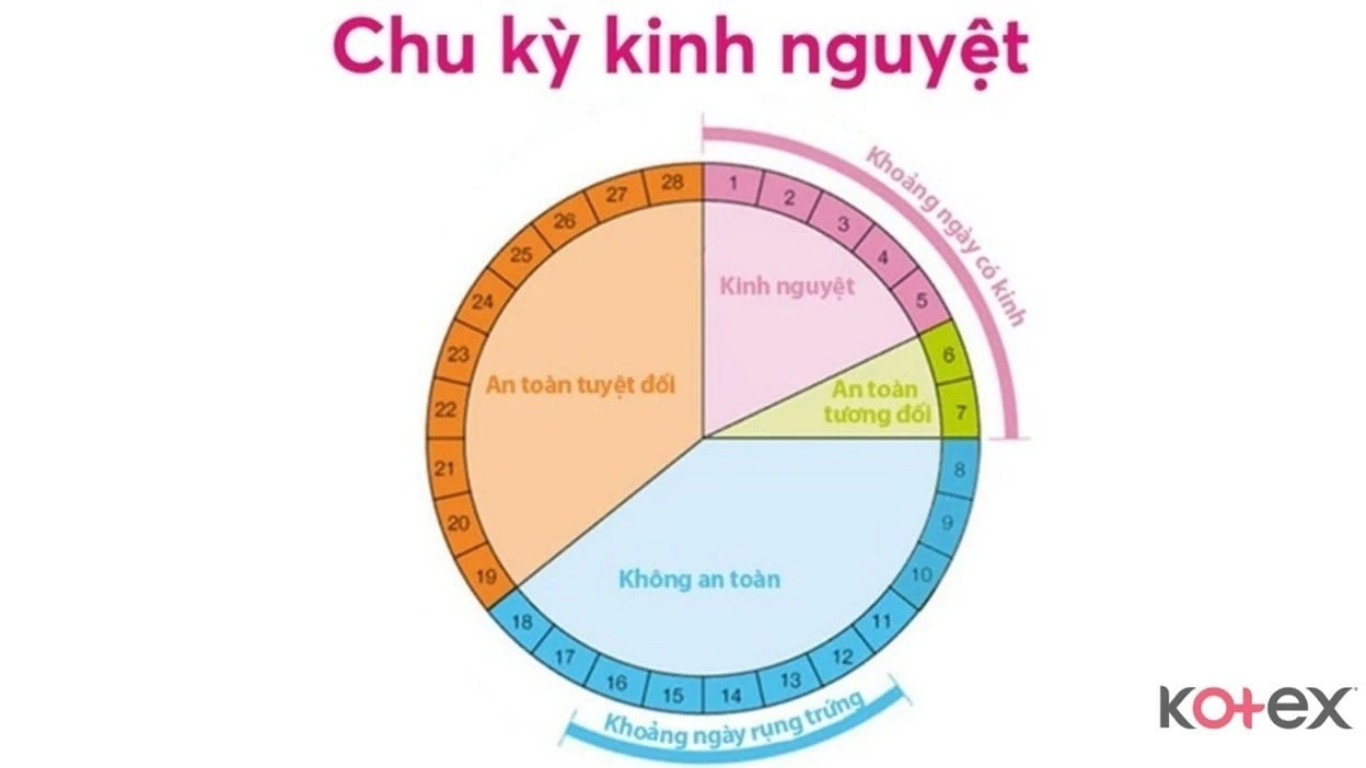 Chu kỳ trong bảng tuần hoàn
