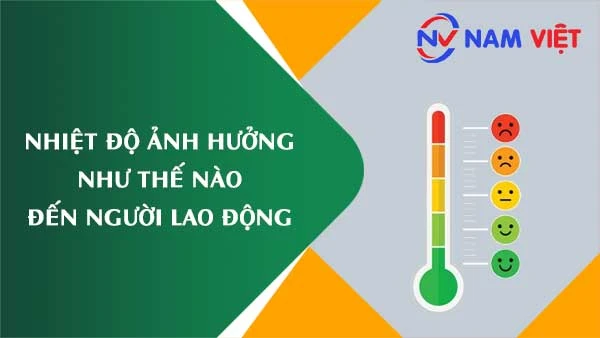 Hình ảnh minh họa 9