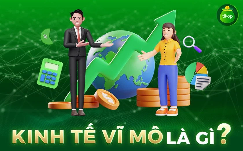 Khái niệm kinh tế tổng thể