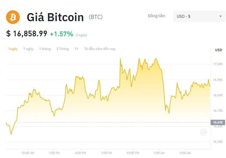 Giá Bitcoin trên biểu đồ
