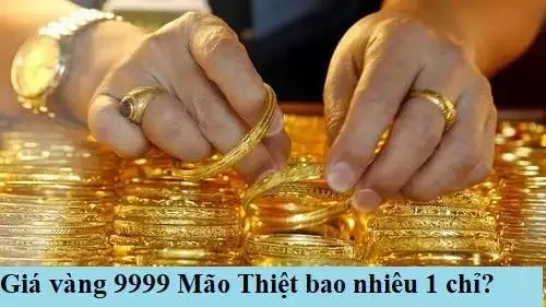 Giá vàng Mão Thiệt Thái Bình hôm nay