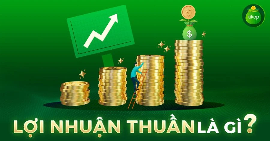 Lợi nhuận cuối cùng là gì?