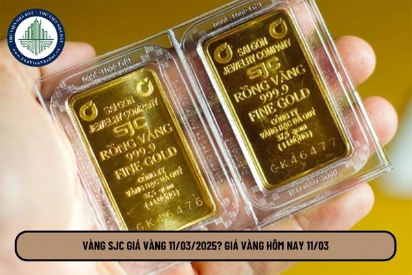 Giá vàng hôm nay