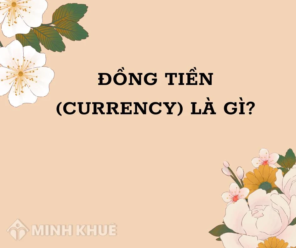 Khái niệm về tiền tệ
