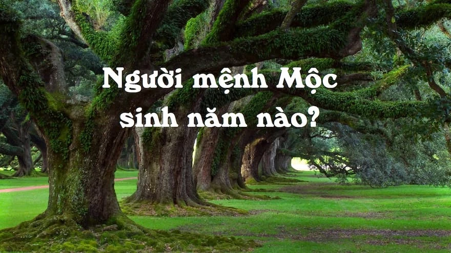 Để gặp may mắn người mệnh Mộc nên mang gì theo người