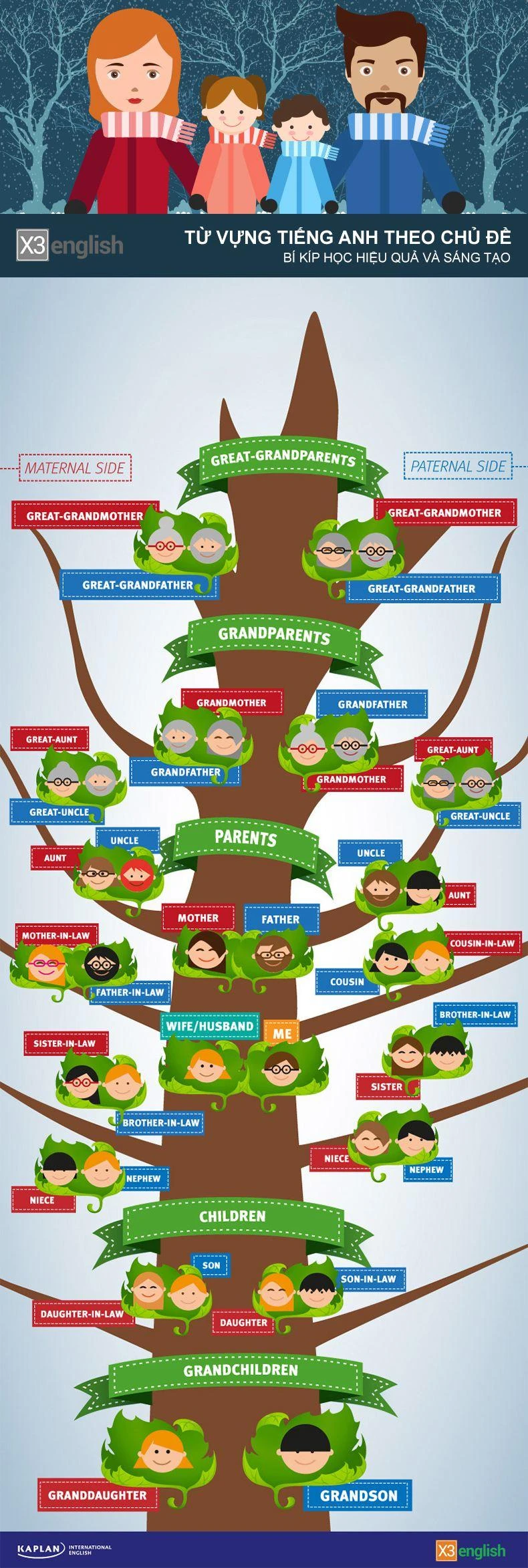 Học tiếng Anh theo chủ đề: Gia Đình [Infographic]