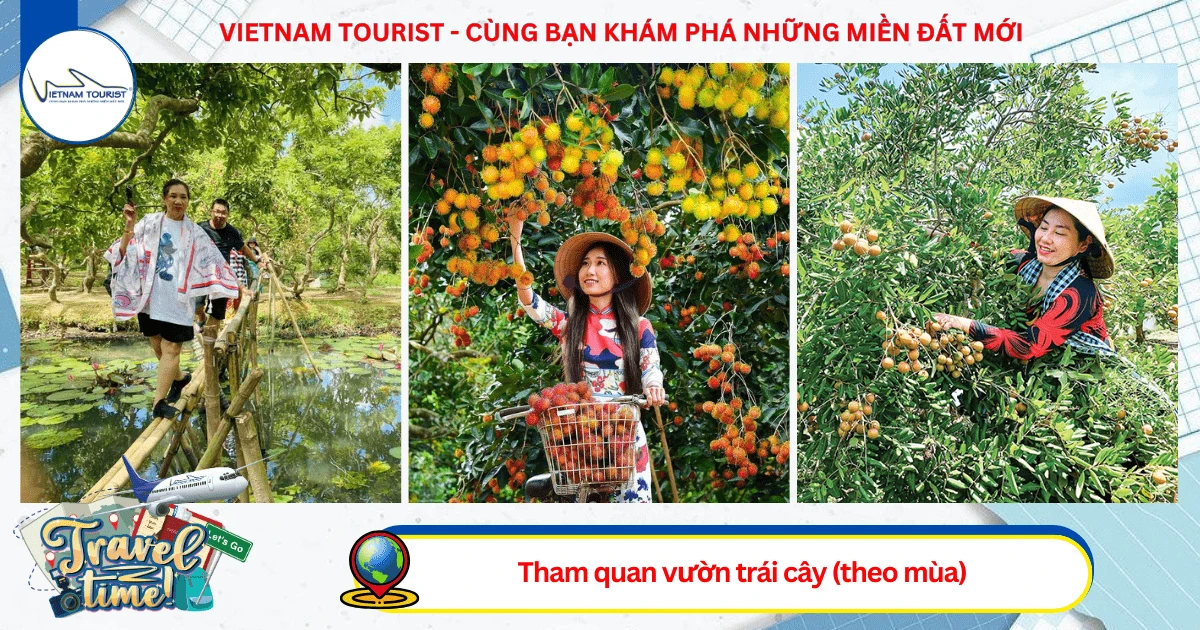 TOUR CẦN THƠ 2 NGÀY 1 ĐÊM - VIETNAM TOURIST