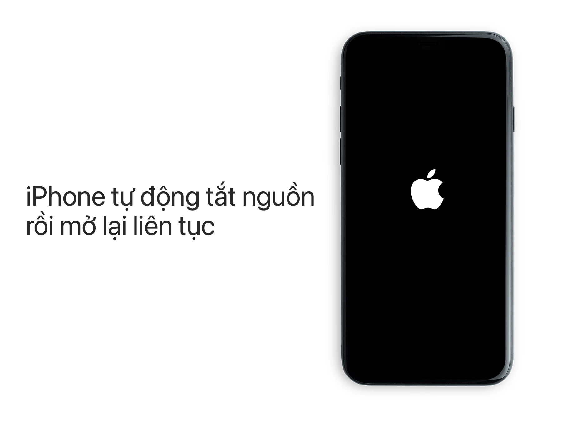 iPhone tự tắt nguồn rồi mở lại liên tục. Nguyên nhân và cách khắc phục