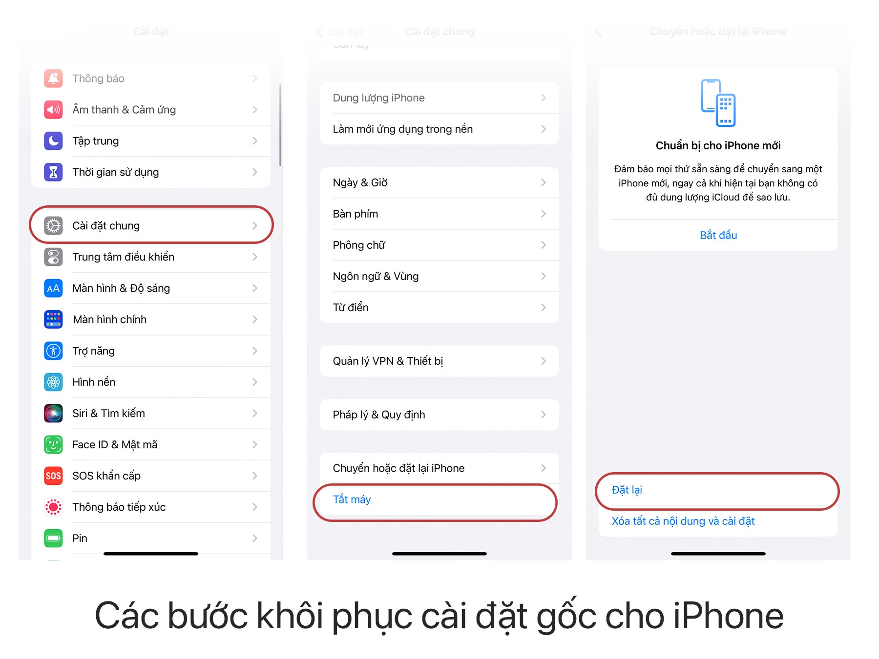 iPhone tự tắt nguồn rồi mở lại liên tục. Nguyên nhân và cách khắc phục