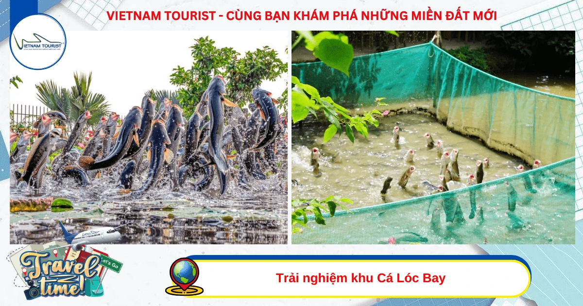 TOUR CẦN THƠ 2 NGÀY 1 ĐÊM - VIETNAM TOURIST