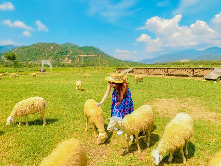 Tour Nha Trang Ninh Thuận 1 Ngày