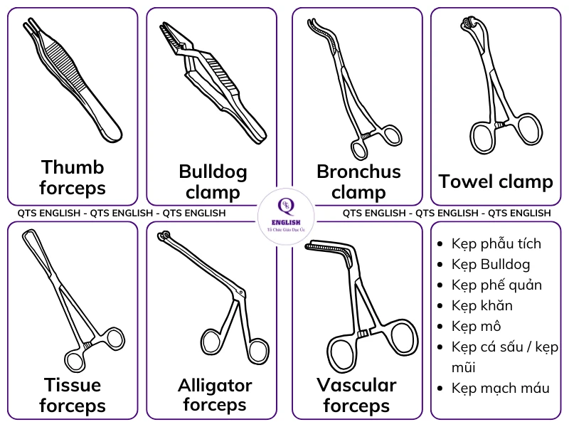 [100+] Từ vựng tiếng Anh chuyên ngành về dụng cụ Y tế