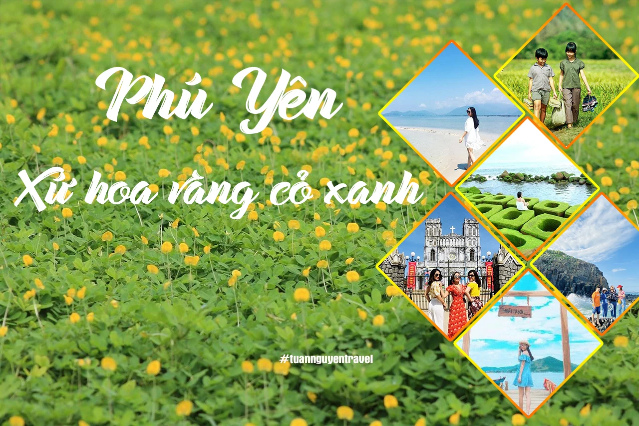 Tour du lịch Quy Nhơn 3 ngày 2 đêm - Siêu KM 35% chỉ 2.490K