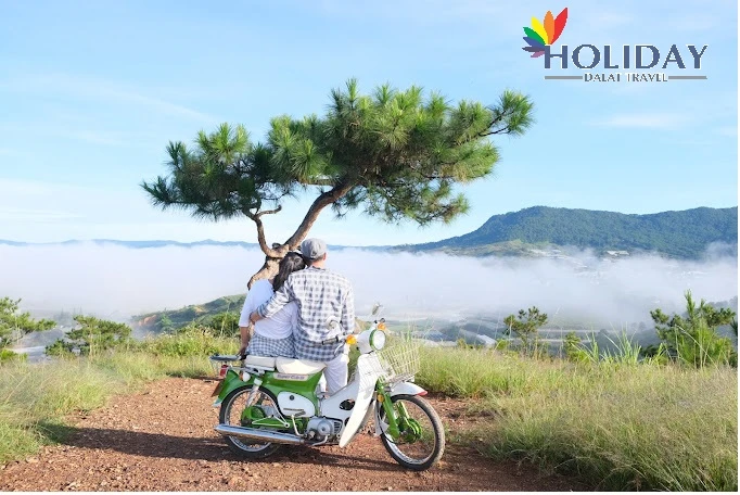 Tour Săn Mây Đà Lạt Đón Bình Minh Cực Chill Giá 199K