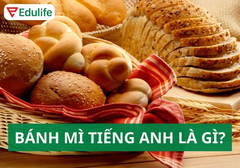 Bánh mì trong tiếng Anh là gì? Khám phá ngay!