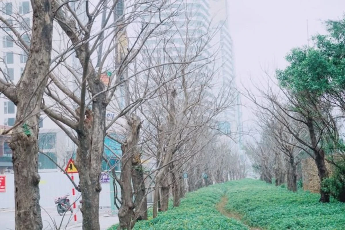 TOP 19 Địa Điểm Check In Đà Nẵng Đẹp Chất