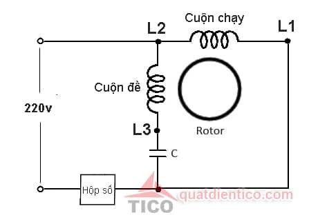 Sơ đồ mạch điện quạt trần, cách đấu nối tụ và hộp số cho quạt trần