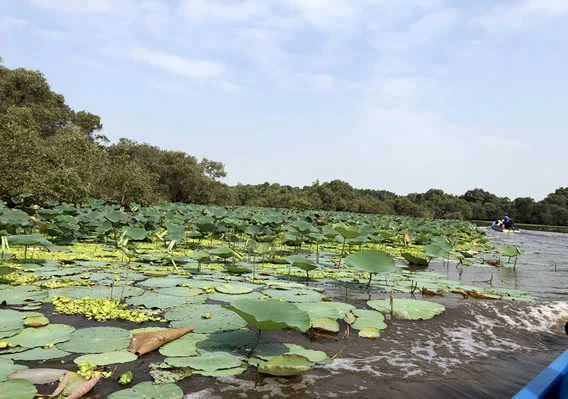 Tour du lịch miền tây 3 ngày 2 đêm