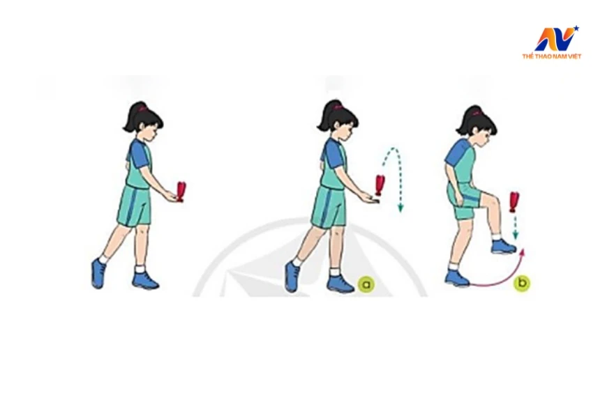 Tổng hợp kỹ thuật đá cầu từ cơ bản đến nâng cao