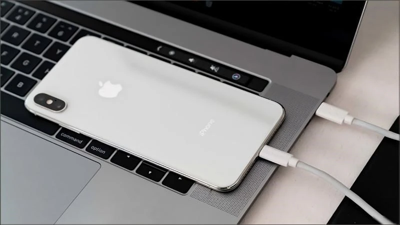 Cách khắc phục lỗi camera iPhone bị đen đơn giản không thể bỏ qua - Thegioididong.com