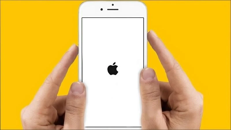 Cách khắc phục lỗi camera iPhone bị đen đơn giản không thể bỏ qua - Thegioididong.com