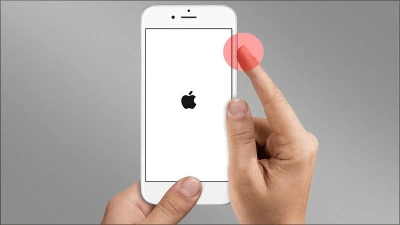 Cách khắc phục lỗi camera iPhone bị đen đơn giản không thể bỏ qua - Thegioididong.com