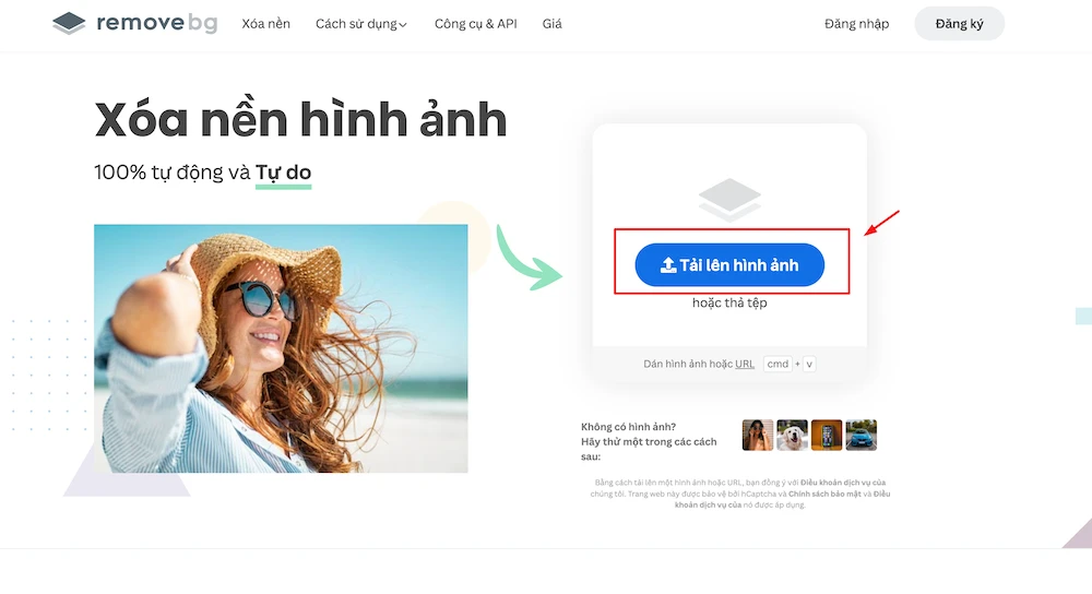 Cách đổi ảnh đại diện TikTok đơn giản, cho avatar thu hút hơn