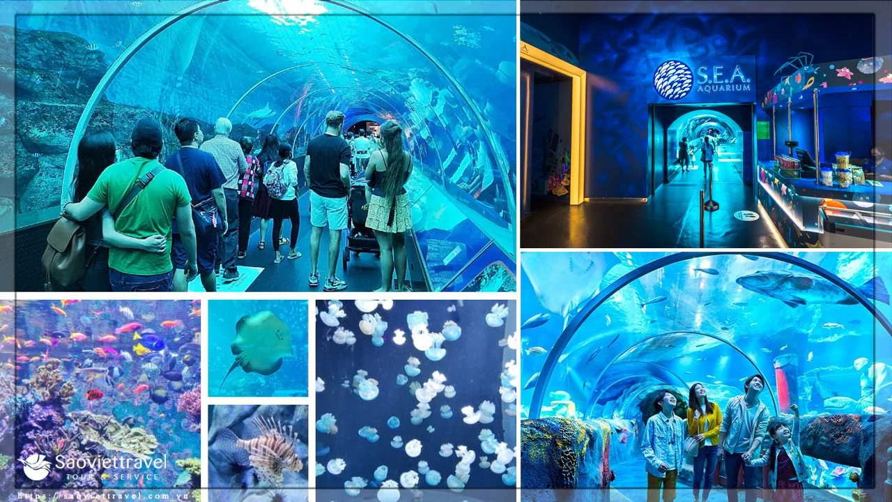 Tour Singapore 3N2Đ hè 2024 - Đảo Sentosa - Garden By The Bay - Chùa Răng Phật từ Sài Gòn - CT MỚI