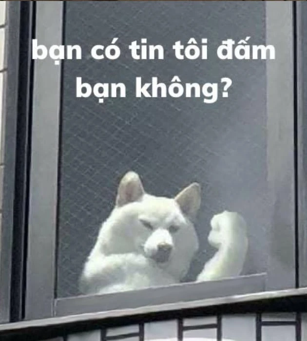 Hình đại diện troll bựa vui nhộn