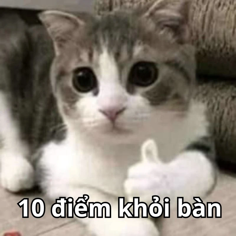 Bộ ảnh meme 10 điểm hài hước, bao đa dạng
