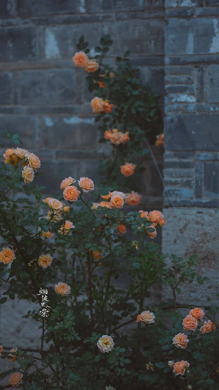 Top Những Mẫu Ảnh Thiên Nhiên Đẹp Nhất Chuẩn Full 4K