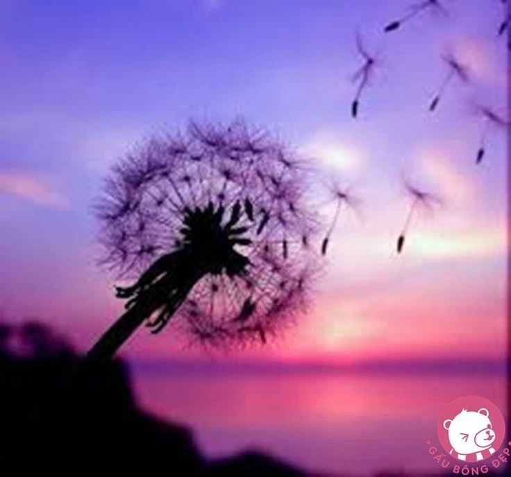 Top Những Mẫu Ảnh Thiên Nhiên Đẹp Nhất Chuẩn Full 4K