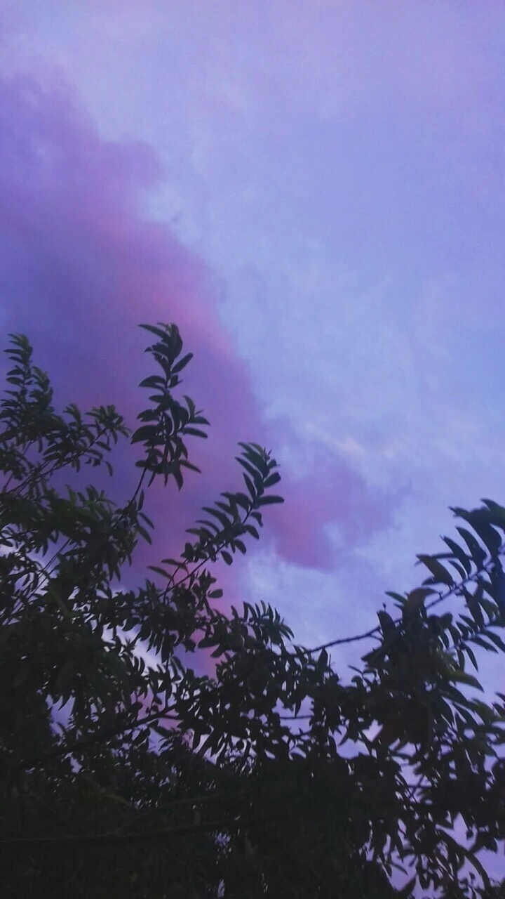 Top Những Mẫu Ảnh Thiên Nhiên Đẹp Nhất Chuẩn Full 4K