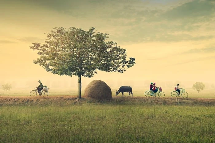 Ảnh đẹp: Hòa mình vào Vẻ đẹp của Làng Quê Việt Nam - Bộ sưu tập hình ảnh tuyệt vời