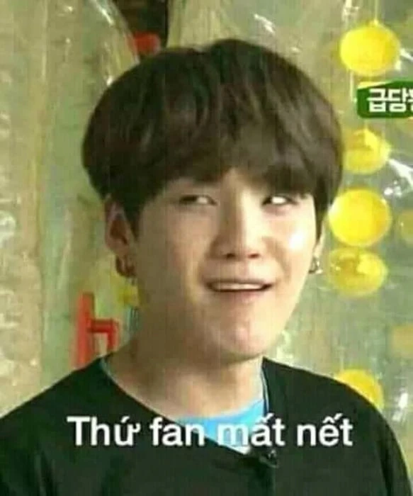 50+ Ảnh chế dìm BTS cực đỉnh