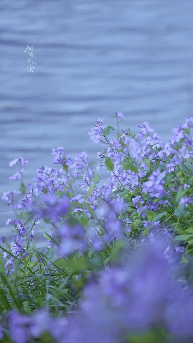 Top Những Mẫu Ảnh Thiên Nhiên Đẹp Nhất Chuẩn Full 4K