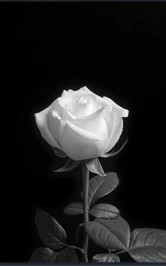 TOP 199+ Hình nền đen buồn, đẹp, chất, full HD cho điện thoại, máy tính