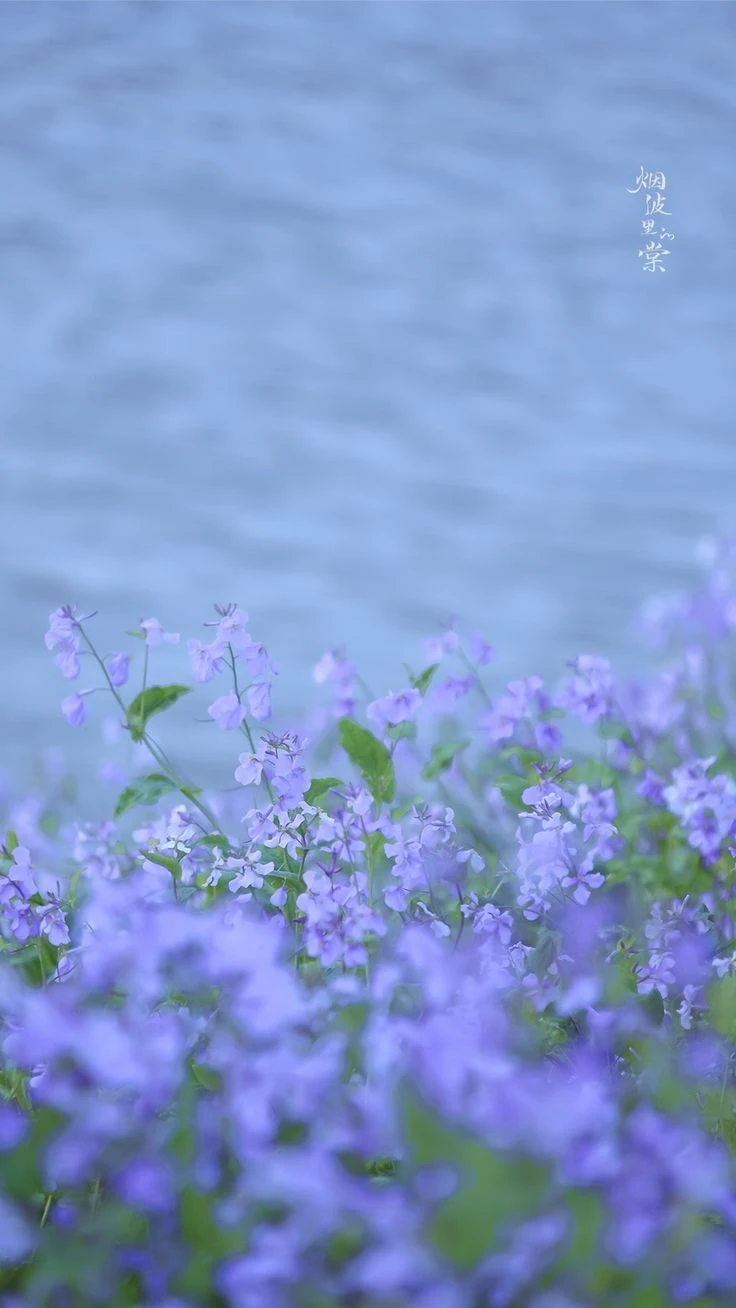 Top Những Mẫu Ảnh Thiên Nhiên Đẹp Nhất Chuẩn Full 4K