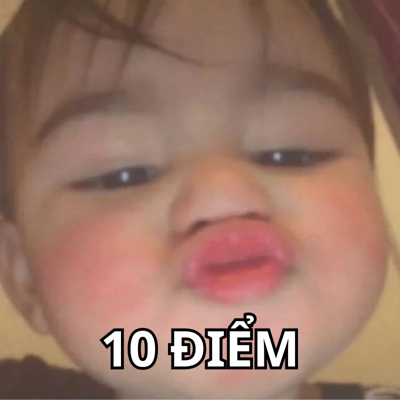Bộ ảnh meme 10 điểm hài hước, bao đa dạng