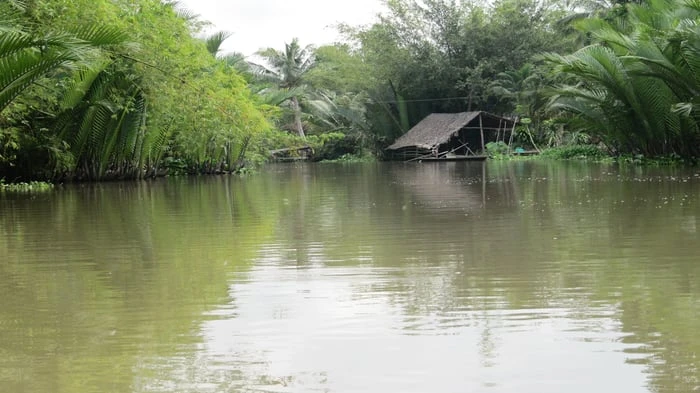 Hình nền đẹp cho máy tính năm 2024