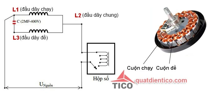 Sơ đồ mạch điện quạt trần, cách đấu nối tụ và hộp số cho quạt trần