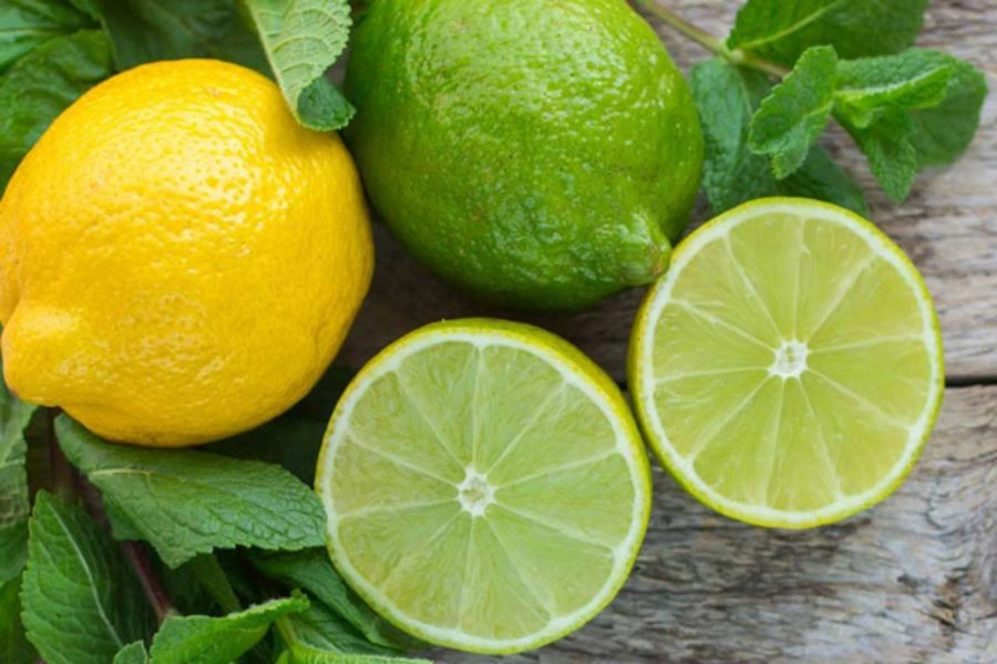 Tổng Hợp 5 Cách Đuổi Bồ Hóng Hiệu Quả Nhanh Chóng Nhất 2023