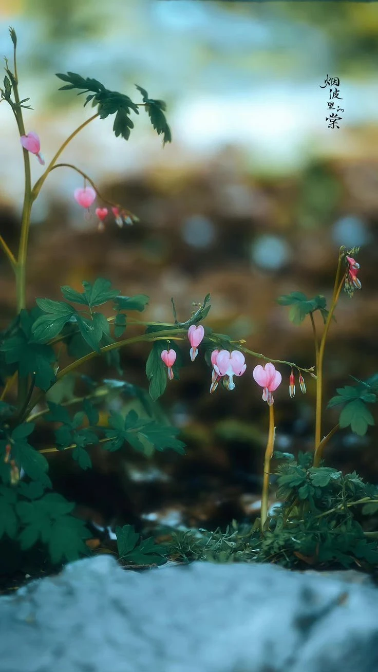 Top Những Mẫu Ảnh Thiên Nhiên Đẹp Nhất Chuẩn Full 4K