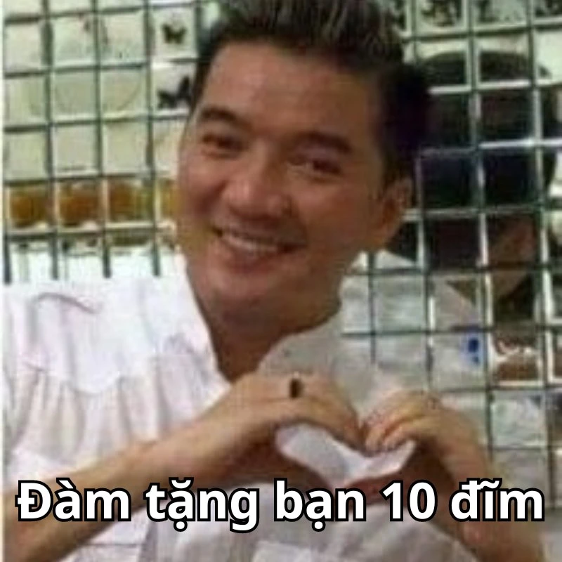 Bộ ảnh meme 10 điểm hài hước, bao đa dạng