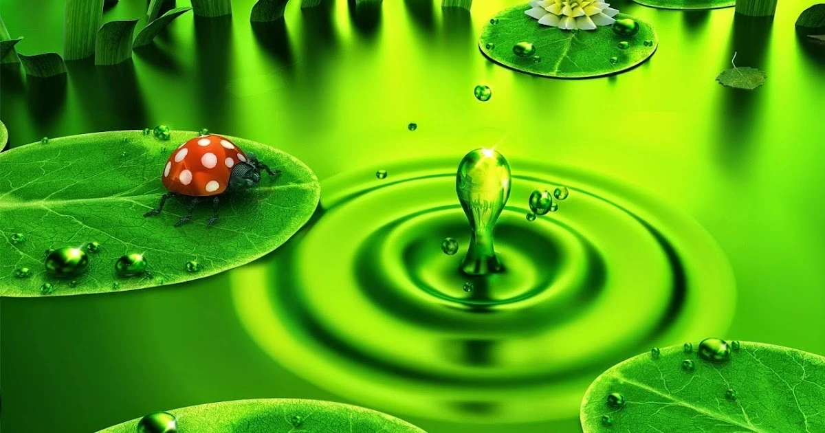 Top Những Mẫu Ảnh Thiên Nhiên Đẹp Nhất Chuẩn Full 4K