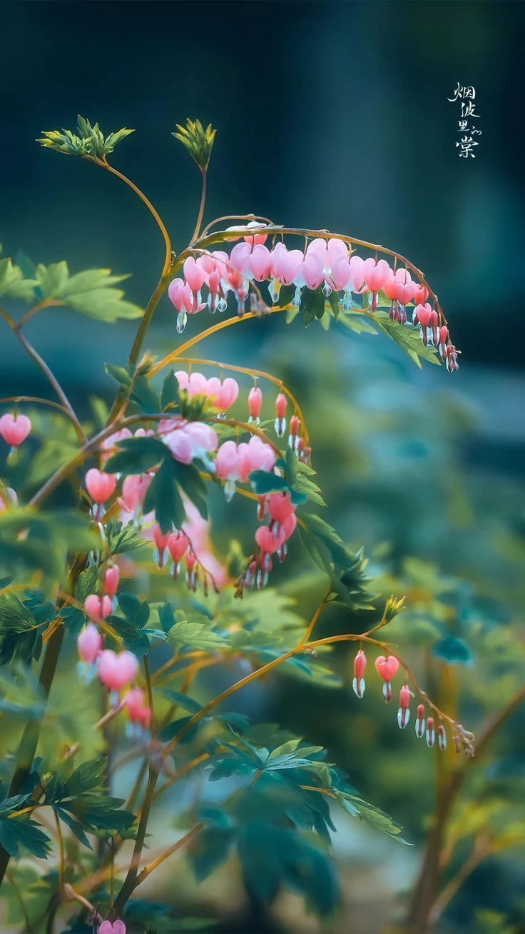 Top Những Mẫu Ảnh Thiên Nhiên Đẹp Nhất Chuẩn Full 4K