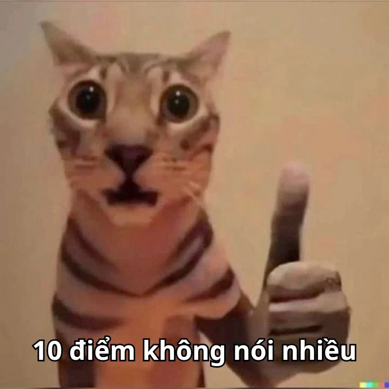 Bộ ảnh meme 10 điểm hài hước, bao đa dạng