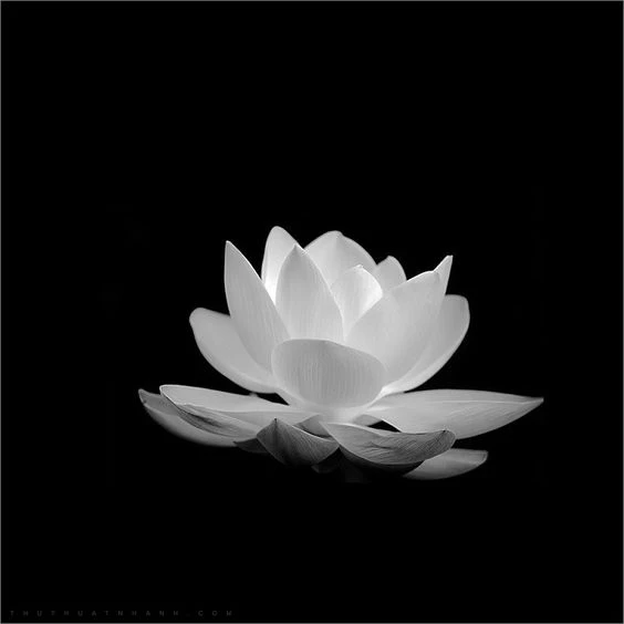 TOP 199+ Hình nền đen buồn, đẹp, chất, full HD cho điện thoại, máy tính