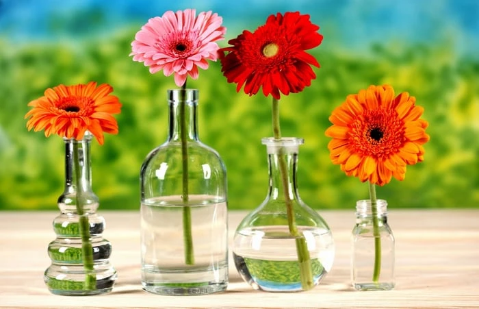 Hình nền đẹp cho máy tính năm 2024