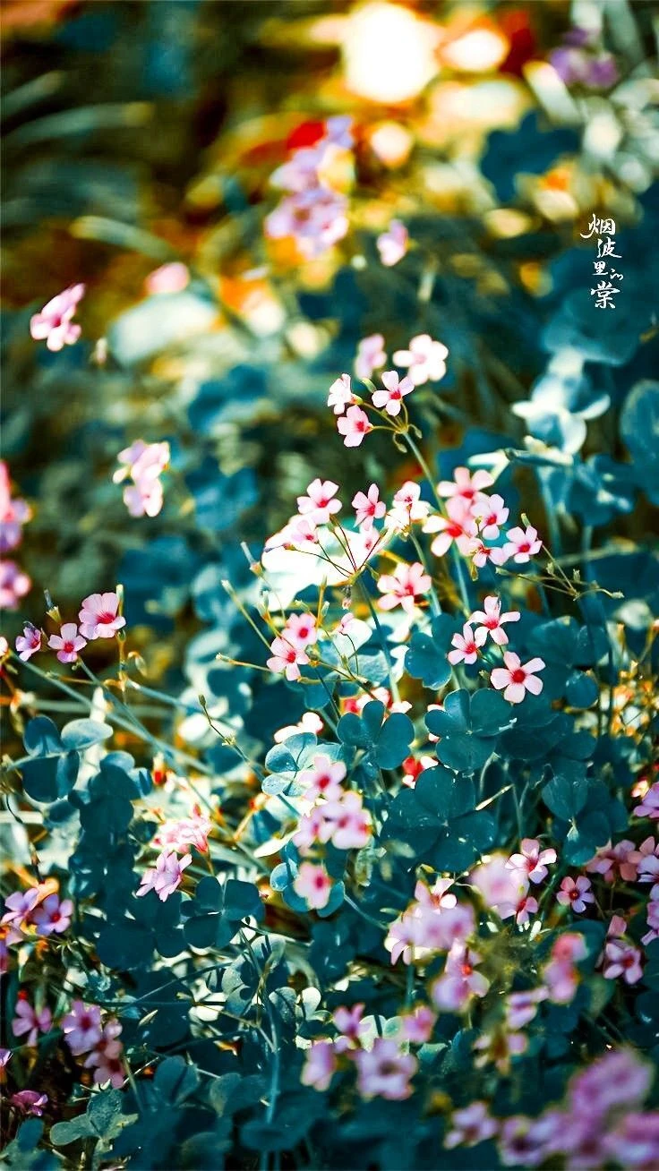 Top Những Mẫu Ảnh Thiên Nhiên Đẹp Nhất Chuẩn Full 4K